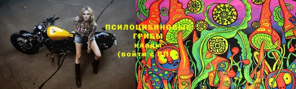прущие крисы Алексеевка