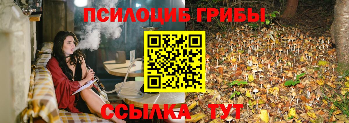Псилоцибиновые грибы мицелий  Вход с VPN  Тобольск  Галлюциногенные грибы GOLDEN TEACHER 